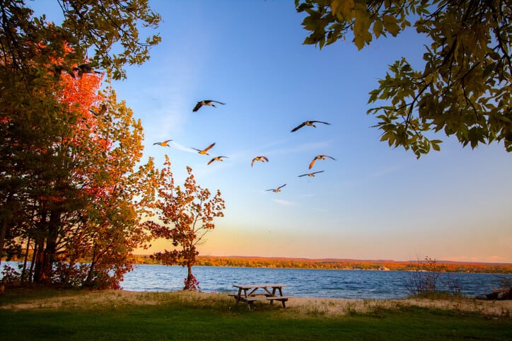 Sunset over Keweenaw Bay with flock of geese migrating south for the winter.