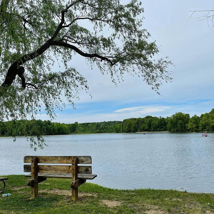 bench overlooking lake