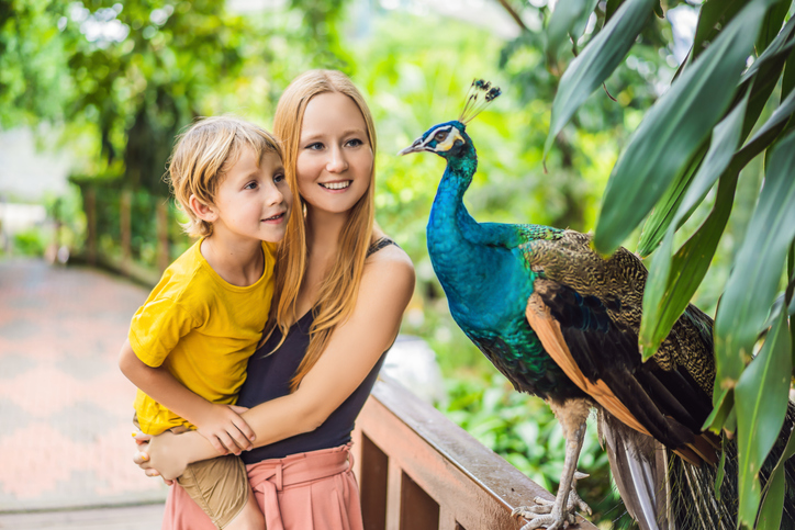 Detroit Zoo