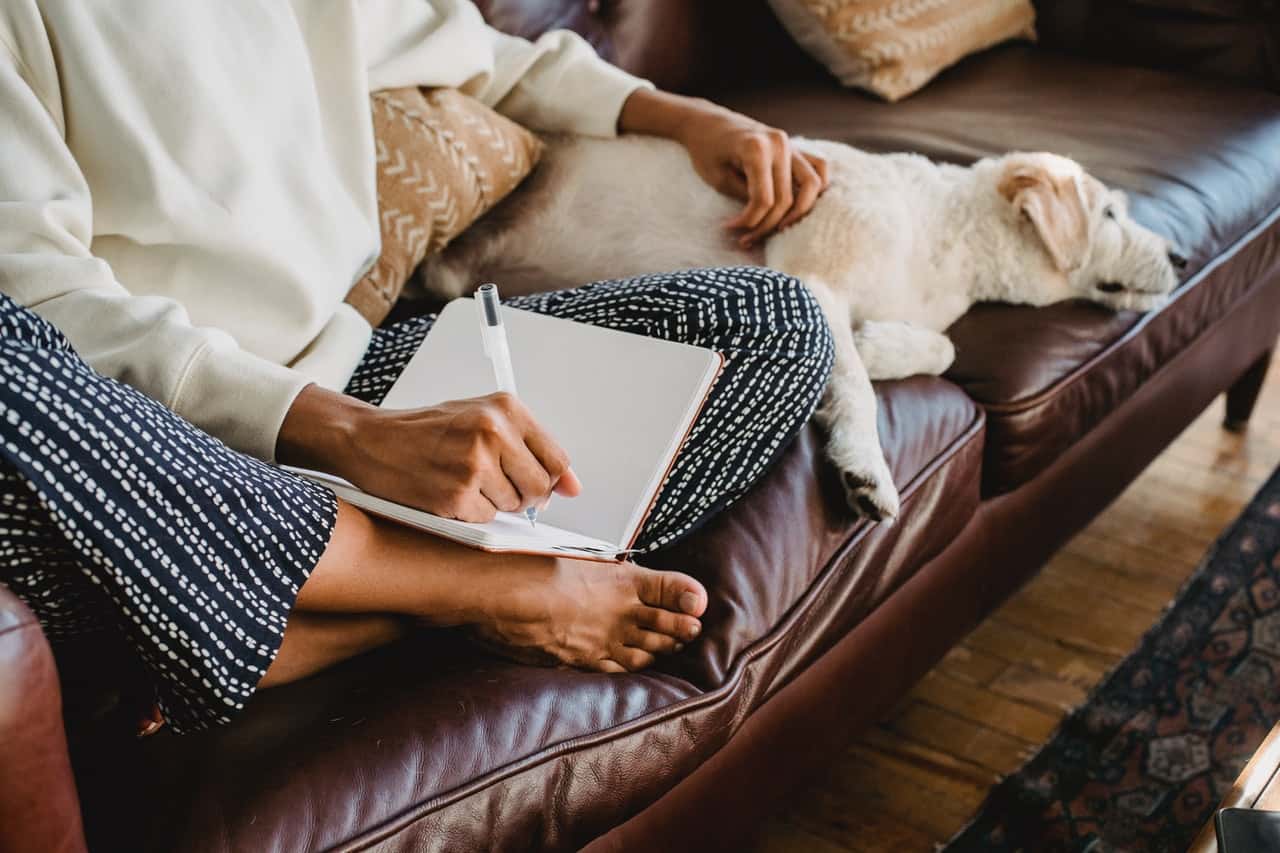 How to Adjust a Dog to Apartment Living