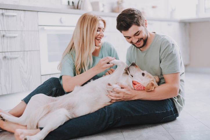 Young lovely couple playing with their dog
