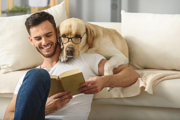 clever dog in glasses