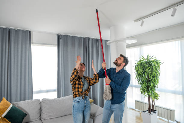 noise violations