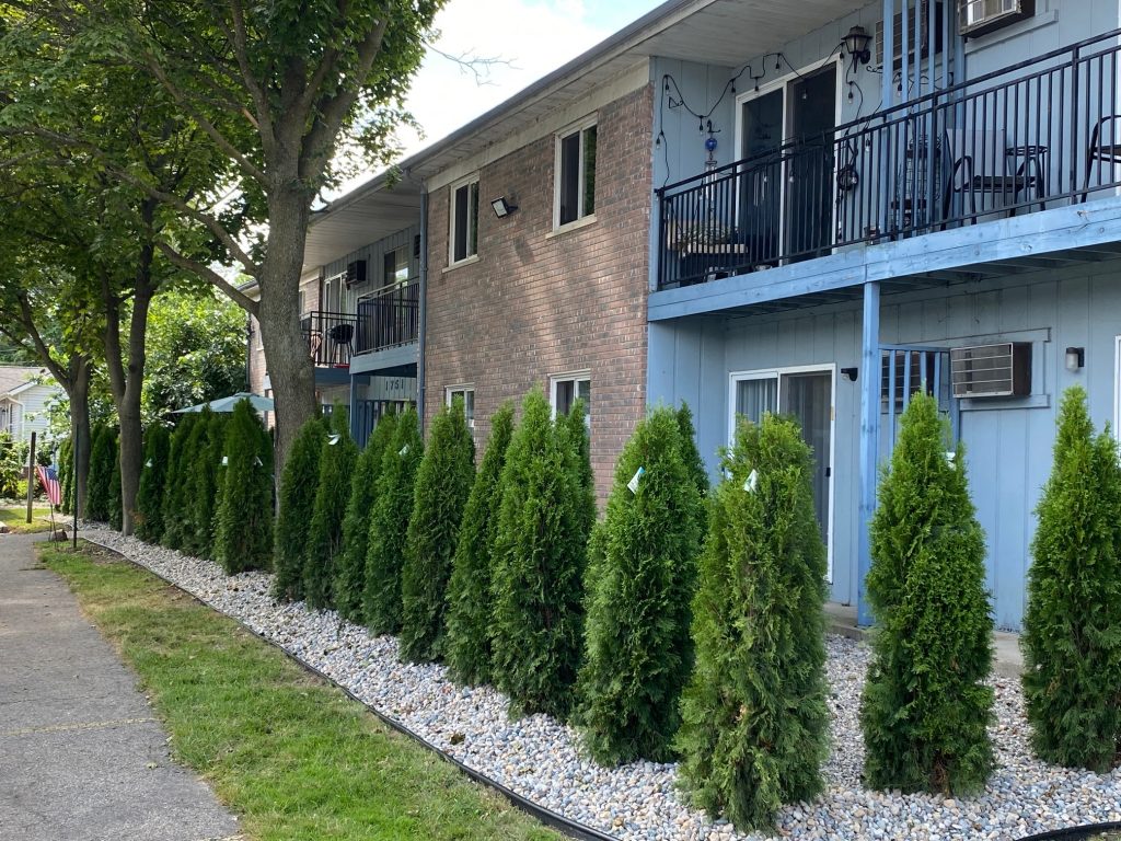 Our community features