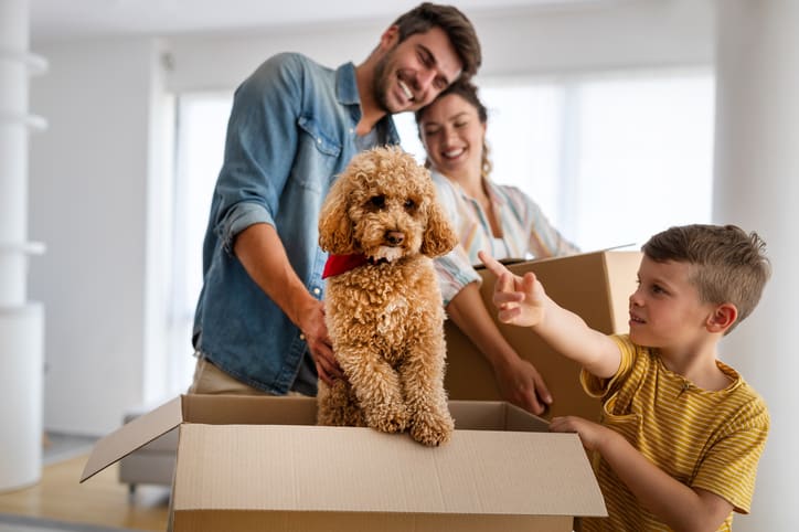 Moving in, new home people concept.