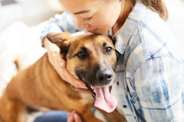 pet policy