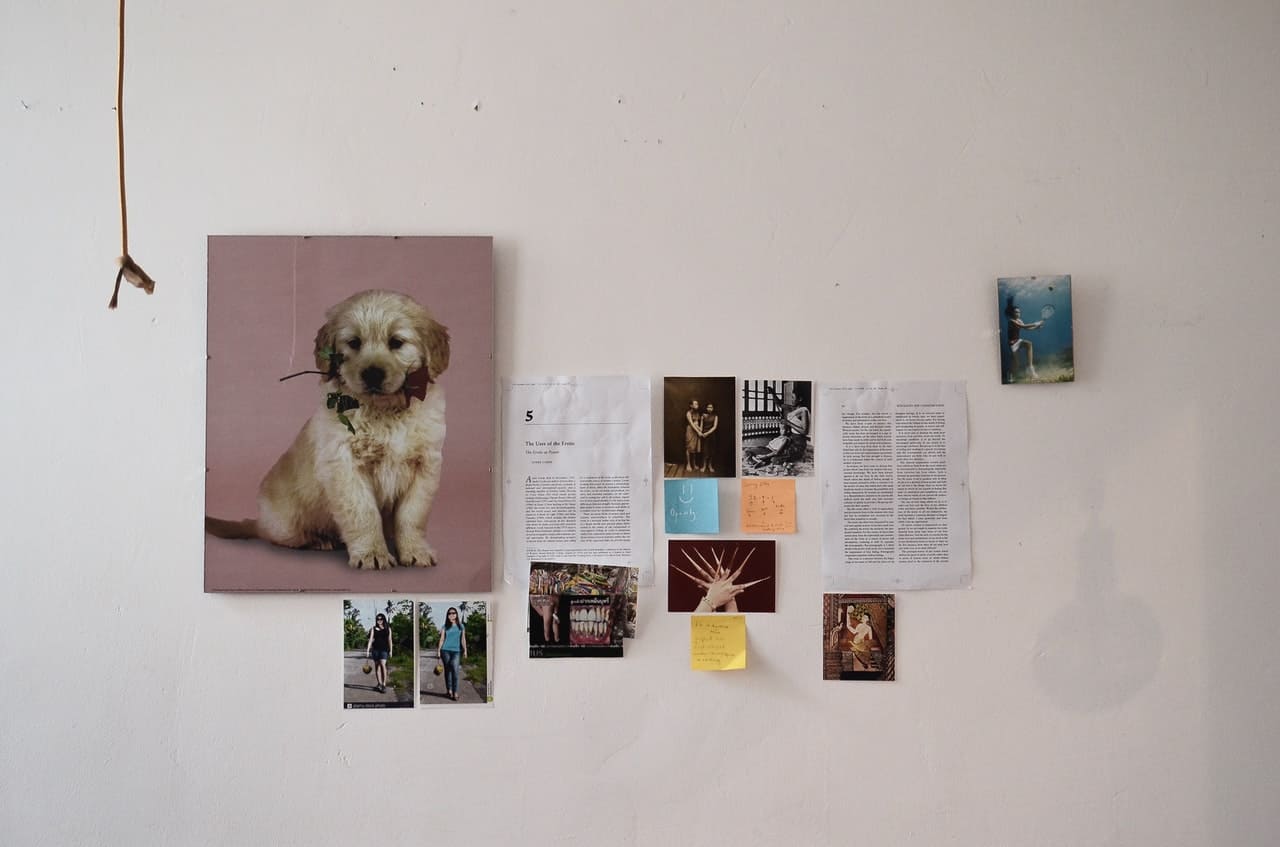How to Puppy-Proof an Apartment